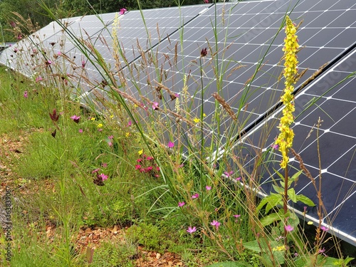 green roof of a modern passivhaus
