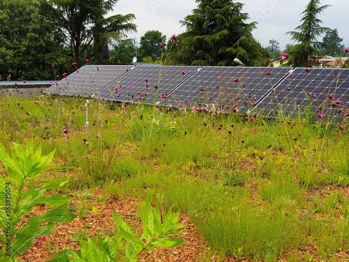 green roof of a modern passivhaus
