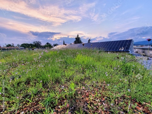 green roof of a modern passivhaus