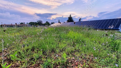 green roof of a modern passivhaus