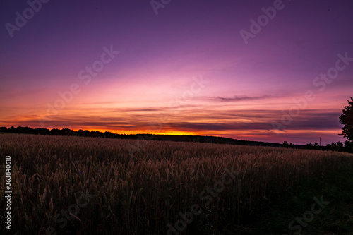 Obraz na plátně Lila Sonnenuntergang