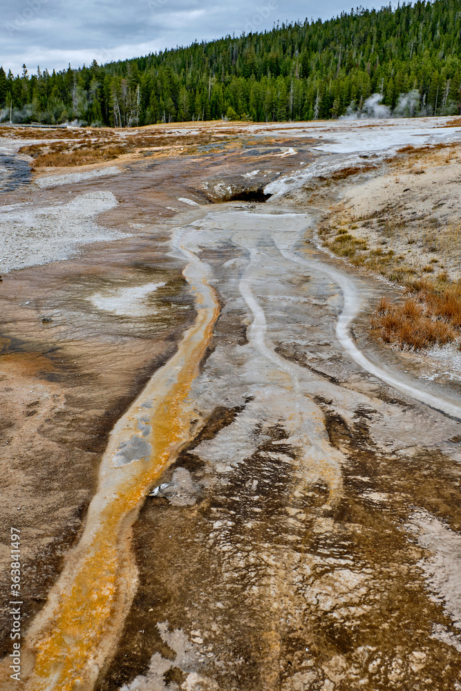 Yellowstone National Park in Wyoming Yellowstone National Park in Wyoming