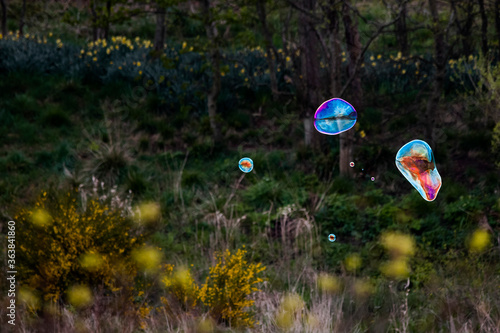 Colorful soap bubbles flying