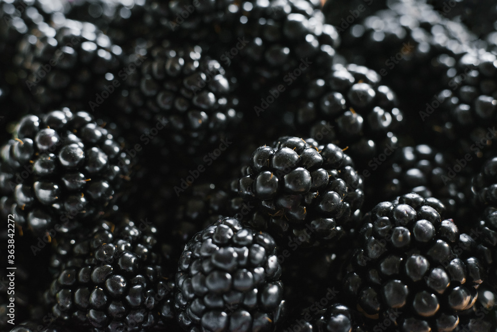 Background from fresh Blackberries, close up. Lot of ripe juicy wild fruit berries lying on the table Background from fresh Blackberries, close up. Lot of ripe juicy wild fruit berries lying on the table