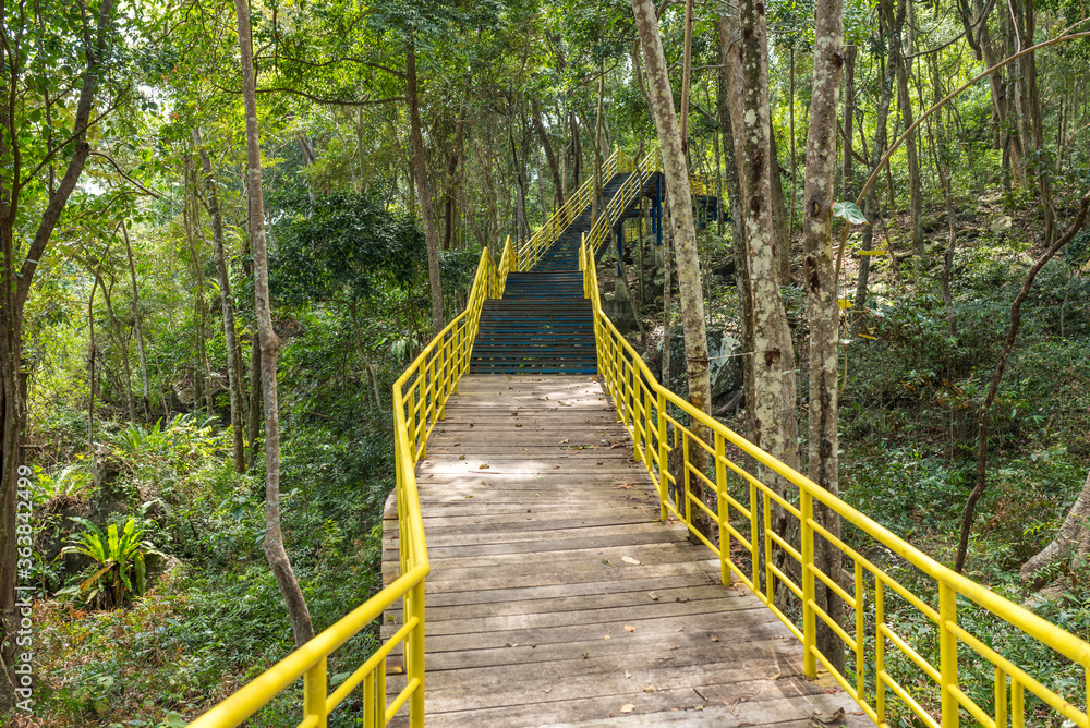 Fototapeta premium Walkway through the jungle on an educational path close to the northernmost point of Sumatra, the Kilometre zero of Indonesia, located on the island of Weh