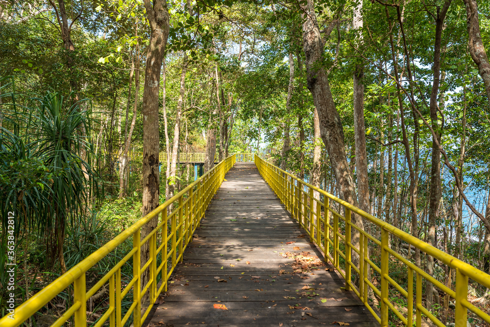 Walkway through the jungle on an educational path close to the northernmost point of Sumatra, the Kilometre zero of Indonesia, located on the island of Weh