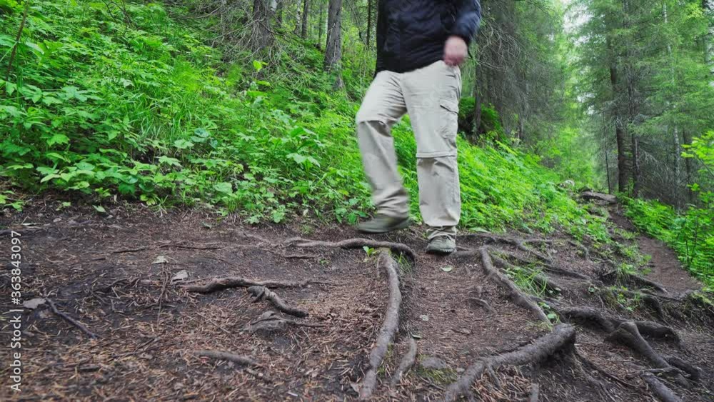 Man with Backpack Hiking Outdoors in the Coniferous Forest. Young Caucasian Male Adult Trekking in the Pine Woods Man with Backpack Hiking Outdoors in the Coniferous Forest. Young Caucasian Male Adult Trekking in the Pine Woods