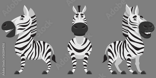 Zebra in different poses. African animal in cartoon style.