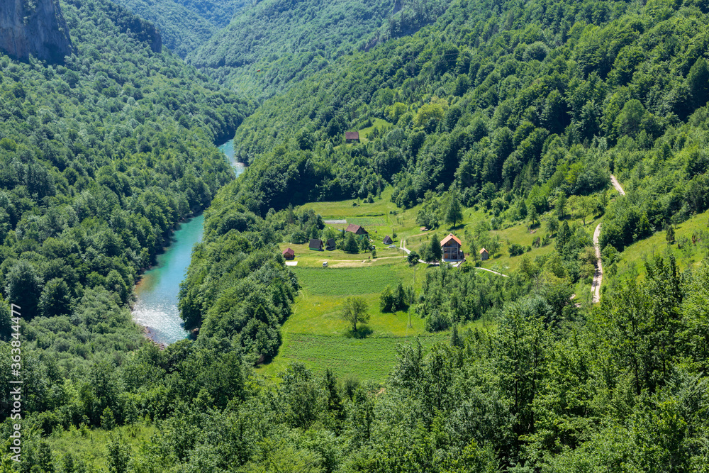 Top view of the mountain river Tara and mountains covered by coniferous forest, the village is located in the gorge, Montenegro, Europe.