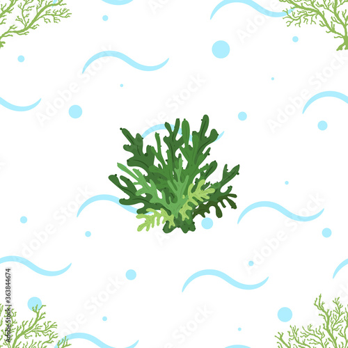 Seamless pattern with seaweeds on white background. Vector hand drawn illustration of underwater sea life.