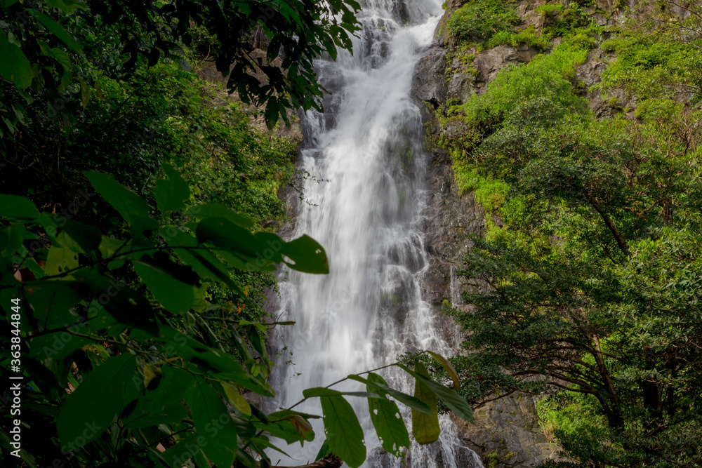 Fototapeta premium waterfall in the rainforest