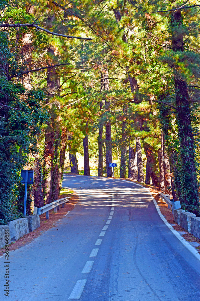 Carretera de montaña, El Montseny Barcelona España
