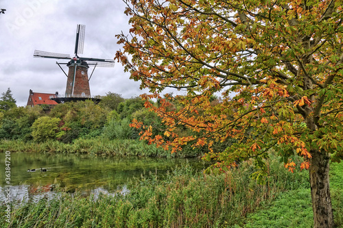 Windmühle De Koornbloem in Goes, Niederlande