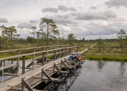 the summer swamp. woman in a blue jacket on a wooden bridge. bog pond. bog background and vegetation. white clouds. small swamp pines