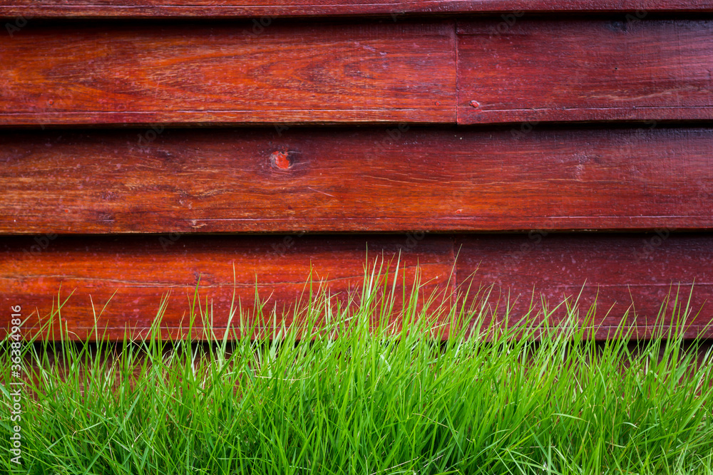 wooden wall background and green grass wooden wall background and green grass