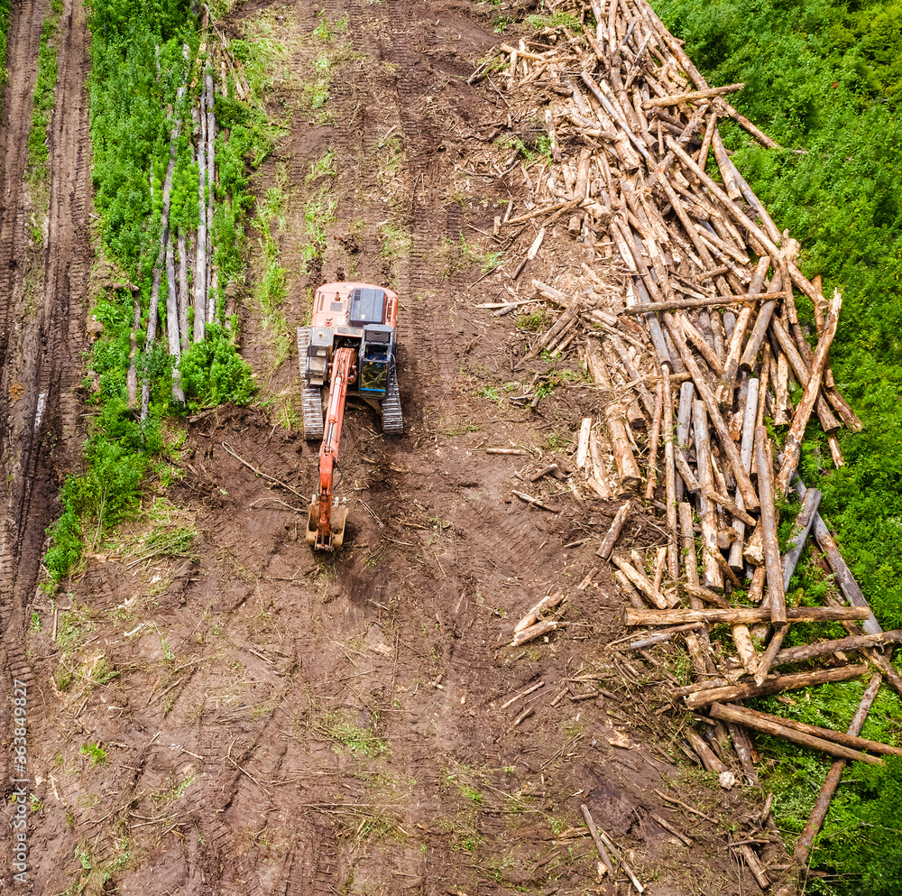 The work of equipment for the extraction of wood The work of equipment for the extraction of wood