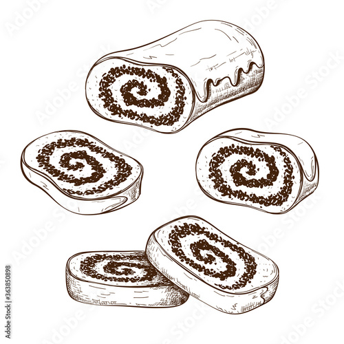 hand drawn poppy seed cake or strudel with slices isolated on white. bun or roll filled with poppy seeds set. engraved pastry sketch. Vector illustration of polish traditional dessert. christmas cake.