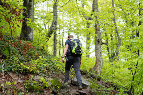 climbing mountains through the forest. a guy with a backpack walks on a rocky path between tall trees