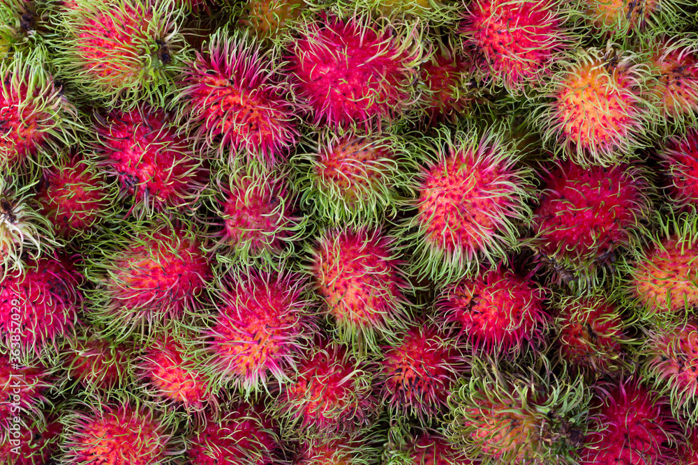 Rambutan - Tropical Fruits Rambutan Rambutan - Tropical Fruits Rambutan