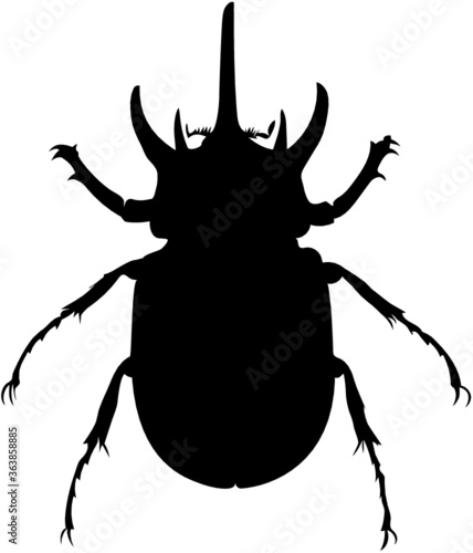 stag beetle silhouette