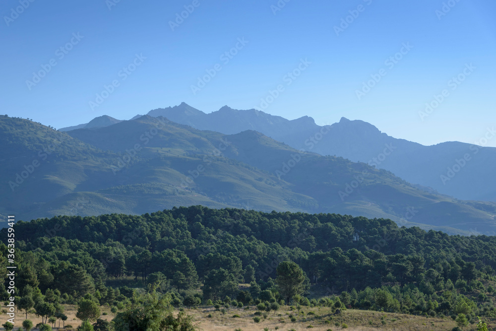 View from Candeleda of the Sierra de Gredos, Avila, Castilla Leon, Spain, Europe. Mountain surrounded by trees.