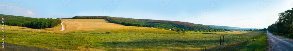 Panorama of a summer landscape of a wheat field at the edge of a forest.