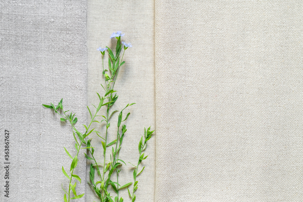 Fototapeta Texture of old and modern linen fabric and flowering flax