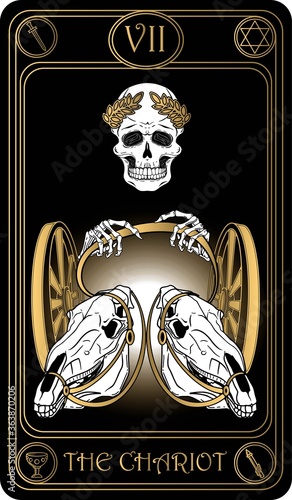 The Chariot. The 7th card of Major arcana black and gold tarot cards. Vector hand drawn illustration with skulls, occult, mystical and esoteric symbols.