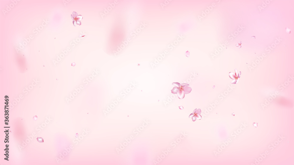 Nice Sakura Blossom Isolated Vector. Summer Blowing 3d Petals Wedding Pattern. Japanese Bokeh Flowers Illustration. Valentine, Mother's Day Pastel Nice Sakura Blossom Isolated on Rose