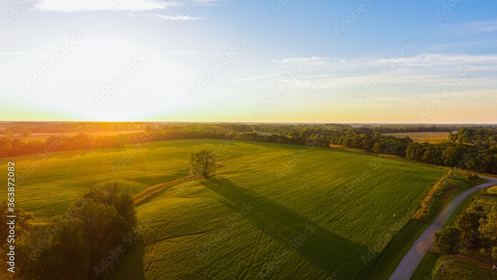 Obraz premium sunset over the field