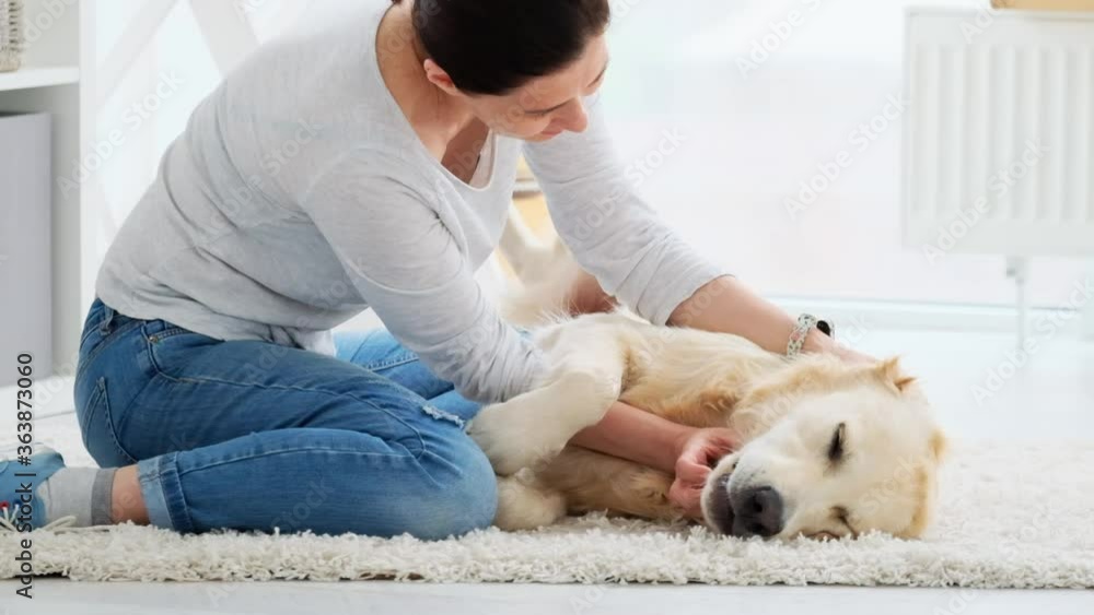 Pretty woman palming beautiful dog on floor in bright room Pretty woman palming beautiful dog on floor in bright room