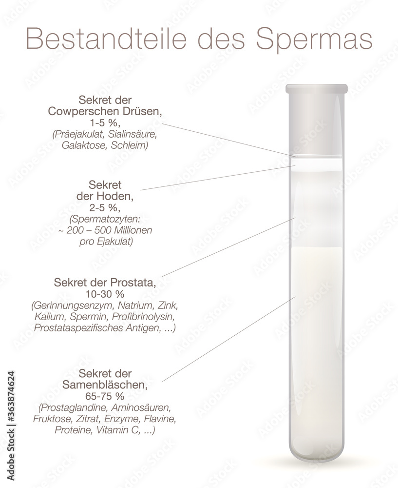Sperm components, german names. Elements of semen infographic. Secretions from testes, prostate, seminal vesicles and cowpers glands in a test tube. Chart with elements of sperm.
Sperm components, german names. Elements of semen infographic. Secretions from testes, prostate, seminal vesicles and cowpers glands in a test tube. Chart with elements of sperm.