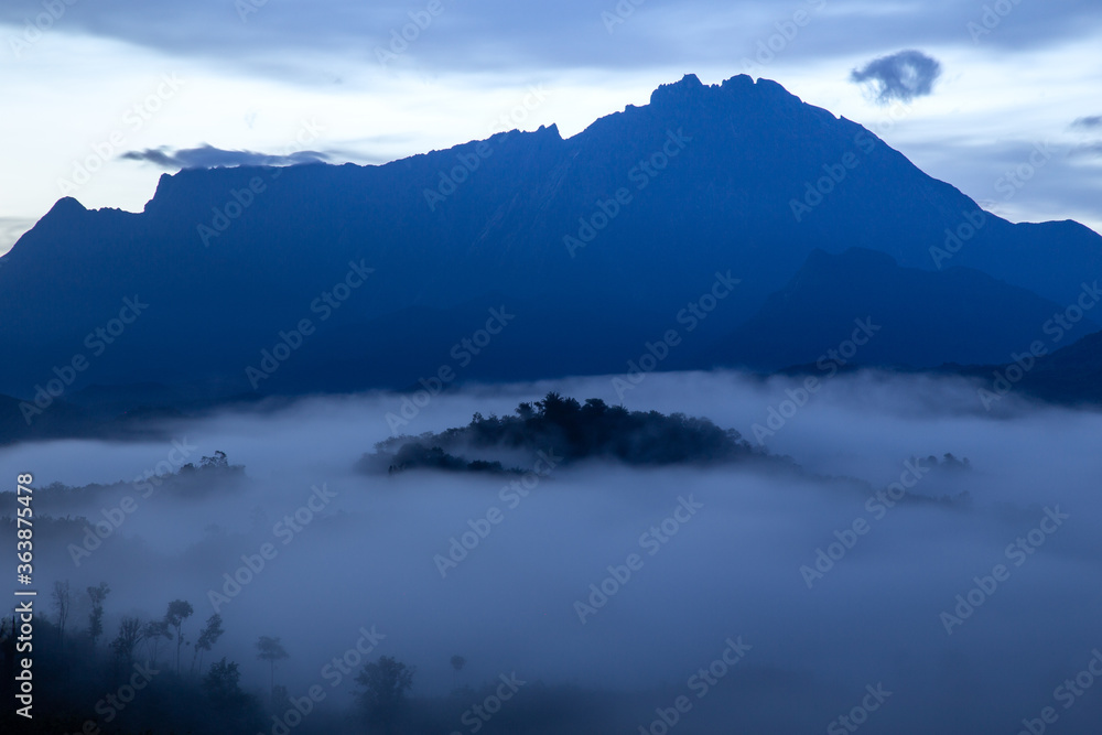 Beautiful landscape scenery with sunlight and fog and Mount Kinabalu as background in Guakon, Sabah, Malaysia