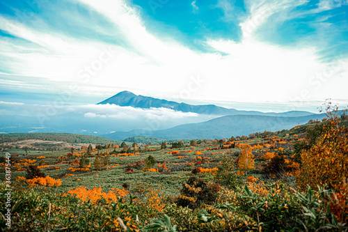 Beautiful view of colorful autumn on mountain road at Towada-Hachimantai park , Goshogake nature trail, Hachimantai visitor center.
