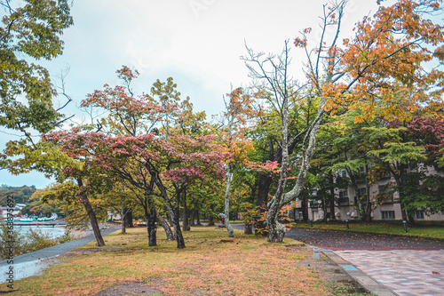 Beautiful autumn foliage scenery landscapes of Lake Towada in rainy day. View from lakeside, Towada Hachimantai National Park, Aomori, Japan photo