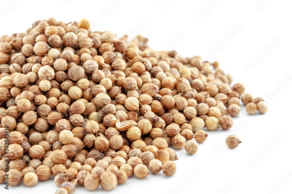 A bunch of coriander seeds close-up on a white background. Selective focus. A bunch of coriander seeds close-up on a white background. Selective focus.