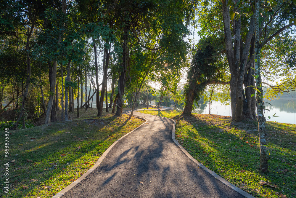 Obraz premium Greenery park walkway in morning sun rise.