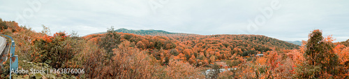 Beautiful panorama view of colorful autumn on mountain road at Towada-Hachimantai park , Goshogake nature trail, Hachimantai visitor center.
