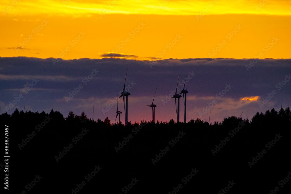Obraz premium A beautiful sunset with great colors