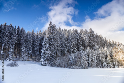 View of snow-covered mountain forest under blue sky