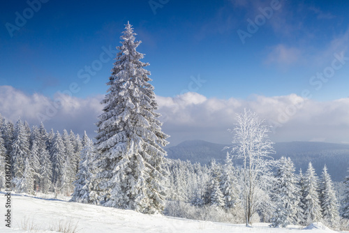 Winter mountain with snow-covered trees, thick clouds in distance