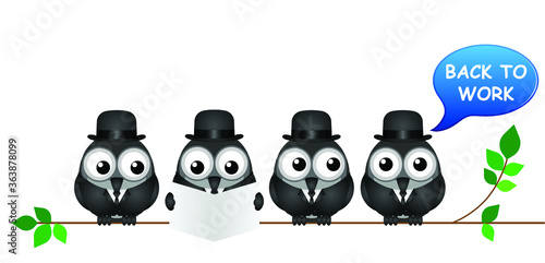 Comical back to work bird businessmen following COVID 19 economic shutdown isolated on white background