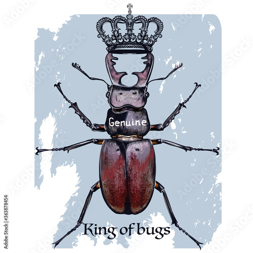 Beautiful fashion illustration with deer beetle and crown