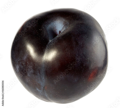 blue plum, isolated on a white background.