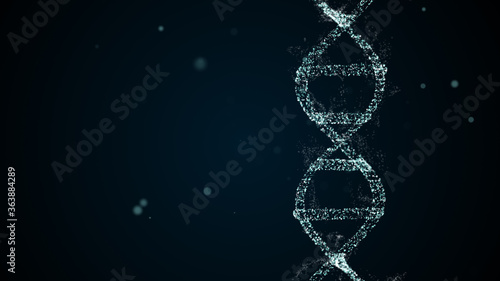 Analysis of DNA Structure in digital space.