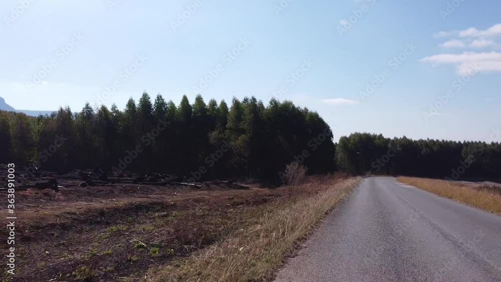 driving on tarmac road in Africa with trees and grassland winter clear skies dry out of focus with grain driving on tarmac road in Africa with trees and grassland winter clear skies dry out of focus with grain