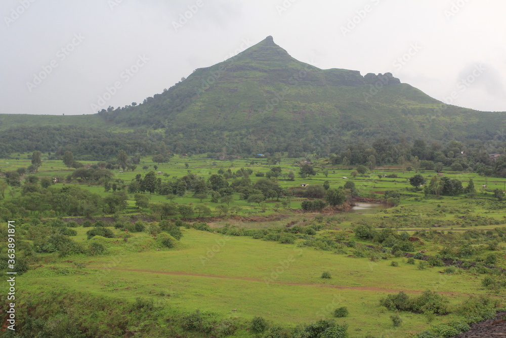Lushgreen rural countryside of Maharashtra, India in the monsoon