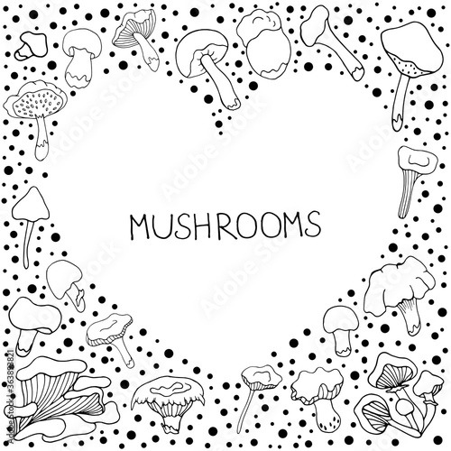 Mushrooms. Doodle style. Vector isolated illustration with chanterelles, russules, oyster mushrooms, white mushrooms on a white background.  Design of logos, books, albums, and magazines. 