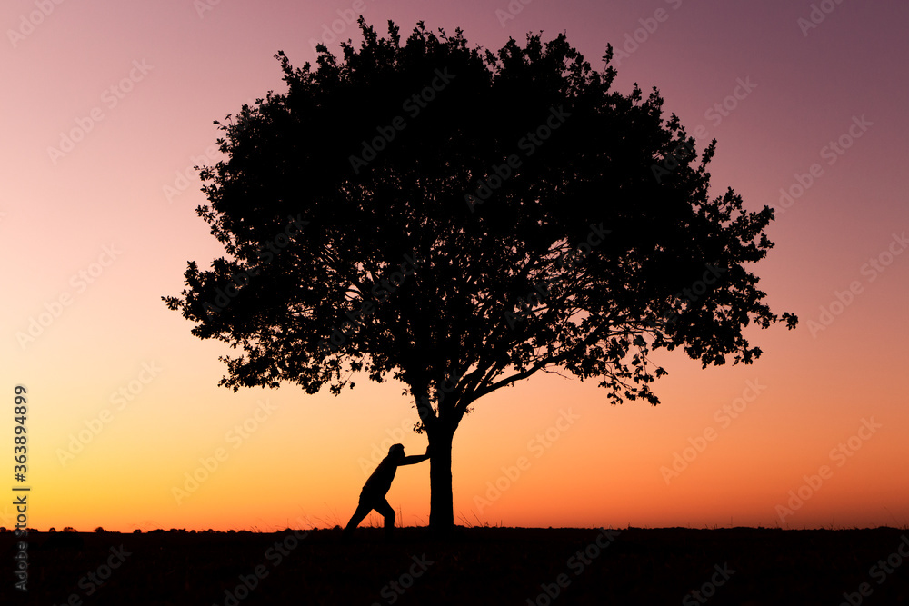 A silhouette of a man pushing a silhouette of a tree in front of a sunset A silhouette of a man pushing a silhouette of a tree in front of a sunset