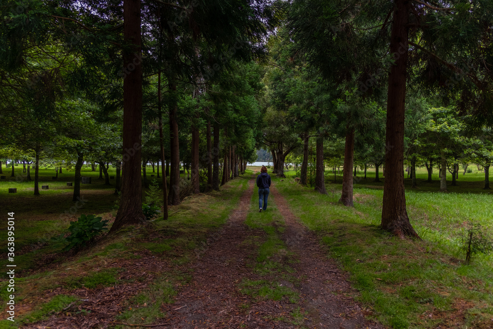 Young Woman walking in the middle of the trees path, in the Furnas Lagoon Park, São Miguel island, Azores